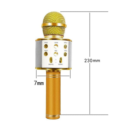 Love Karaoke Microphone (New Upgrade)